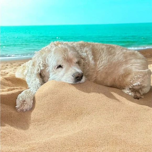 Please like and Share this live notification to know when I am live - Picture 15 of 17